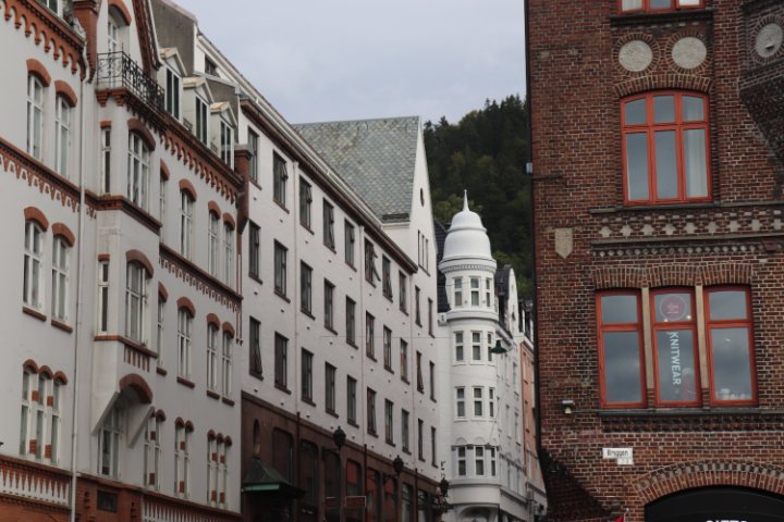 IMG_0910.JPG