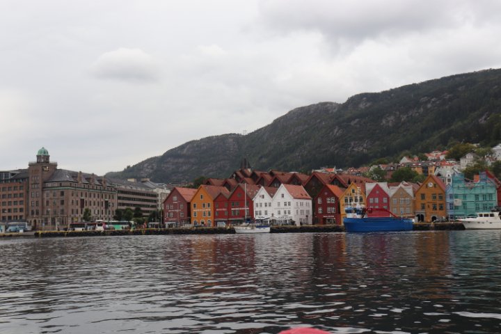 IMG_0950.JPG