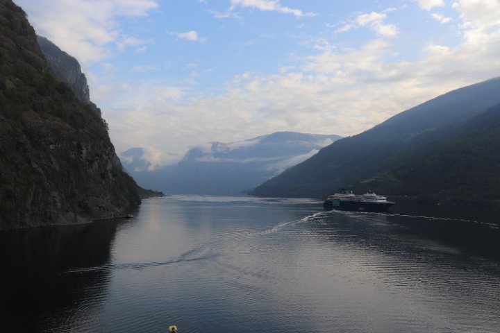 IMG_1004.JPG