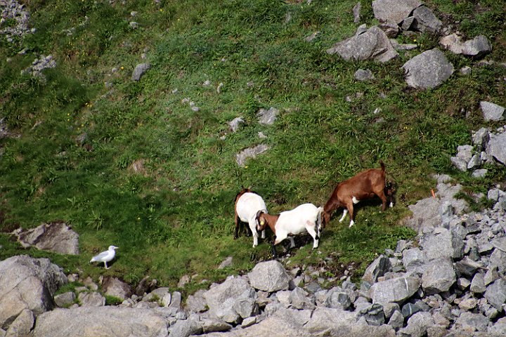 IMG_1693.JPG
