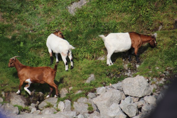 IMG_1698.JPG