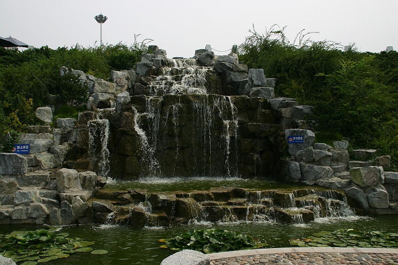 IMG_0445.JPG