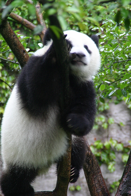 IMG_0186.JPG
