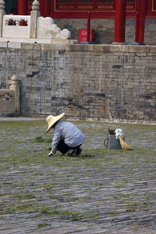 IMG_0551.JPG