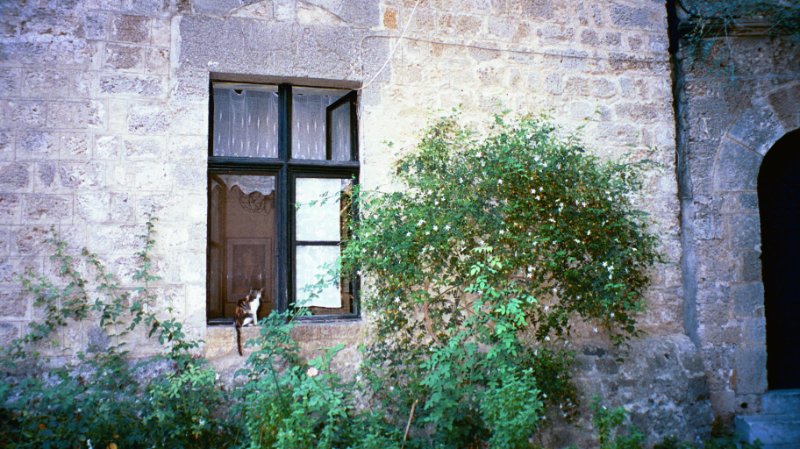 img003.JPG
