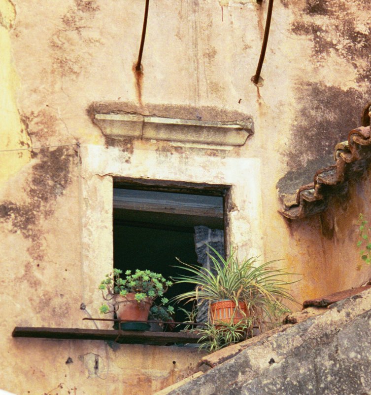 nice window.jpg