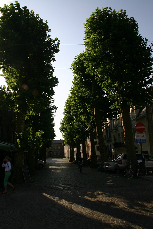 IMG_0467.JPG