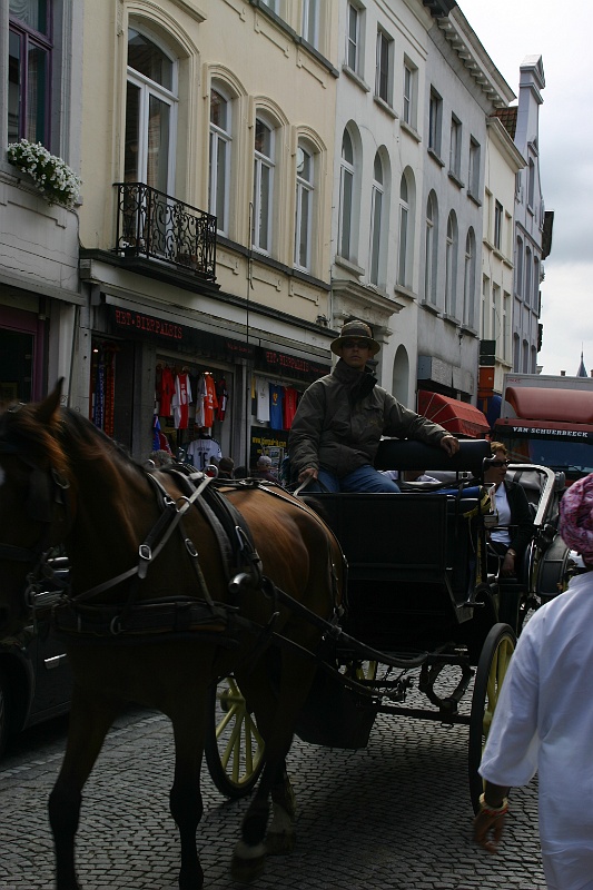 IMG_0505.JPG