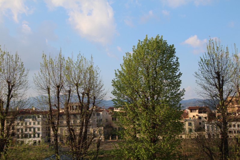 IMG_0185.JPG