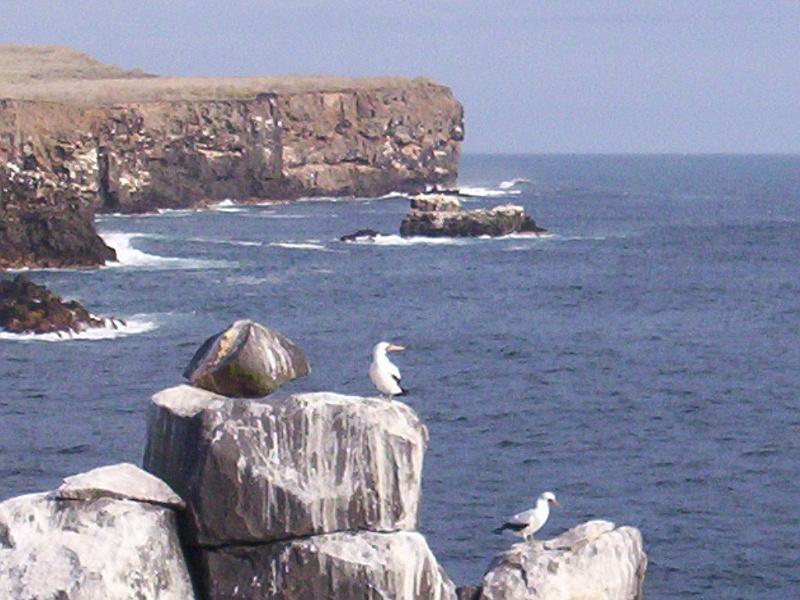 100_0029.JPG
