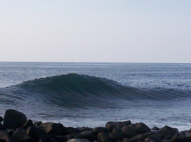 100_0034.JPG