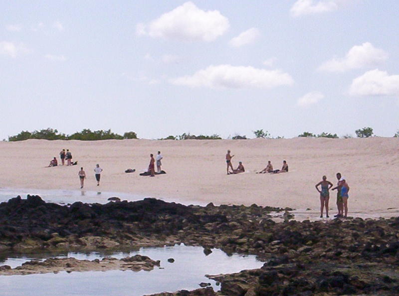 100_0049.JPG