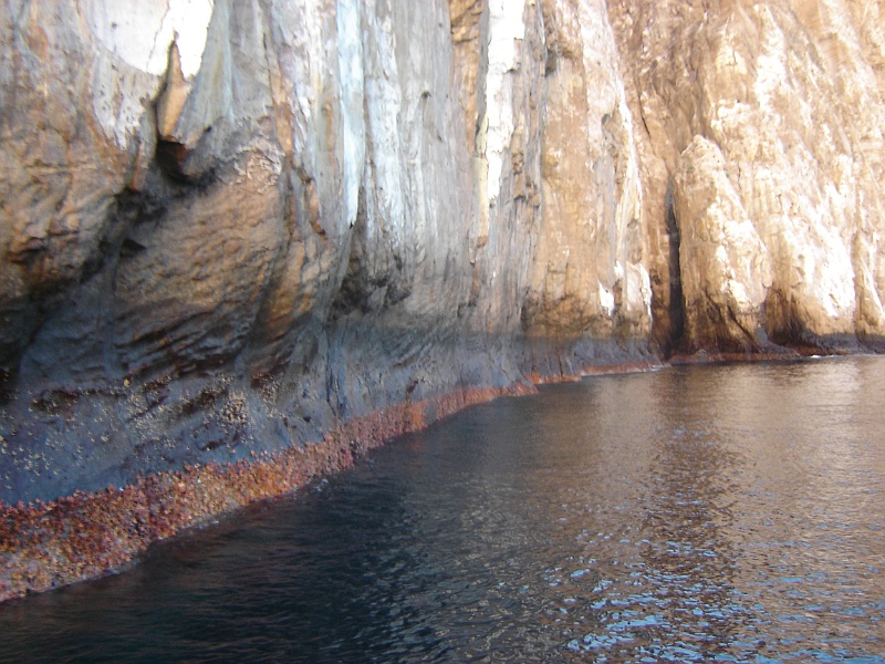 DSC02321.JPG