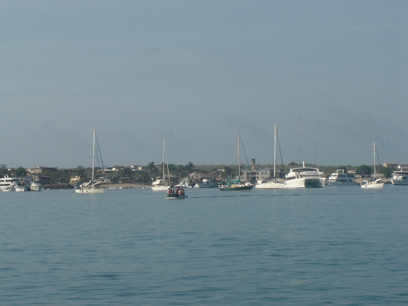DSC02331.JPG