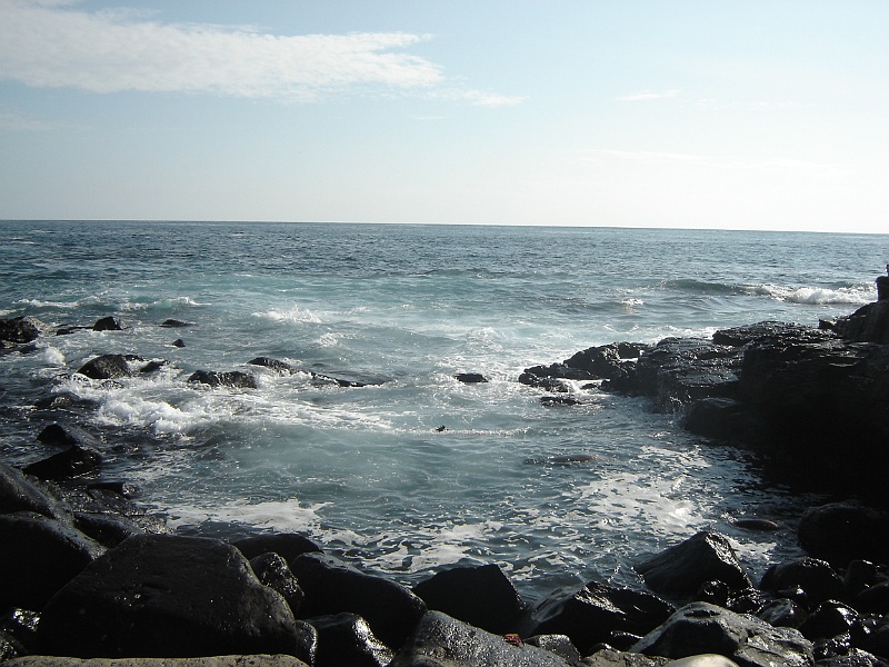 DSC02357.JPG