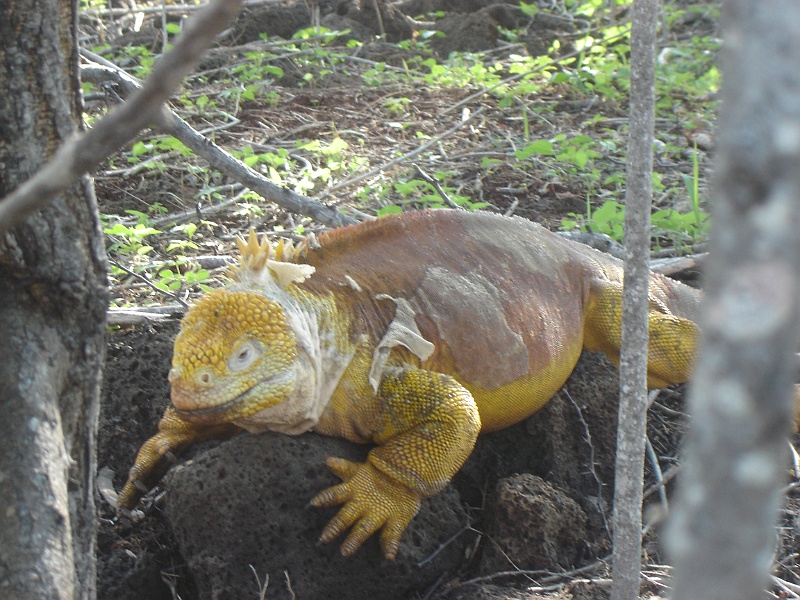 DSC02376.JPG