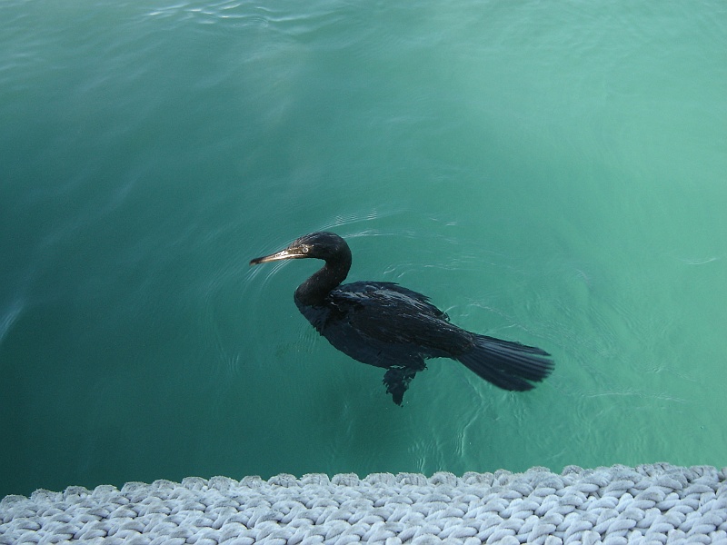 DSC02436.JPG