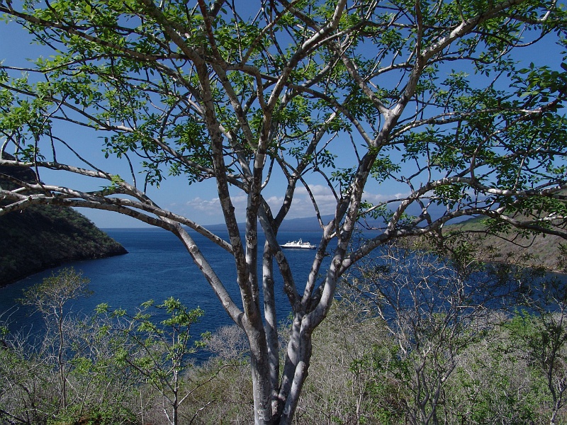 DSC03204.JPG