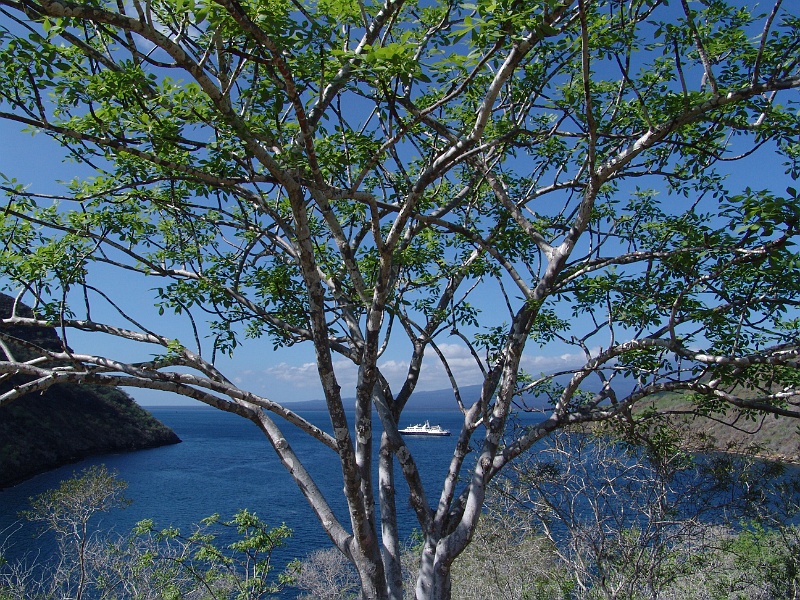 DSC03205.JPG
