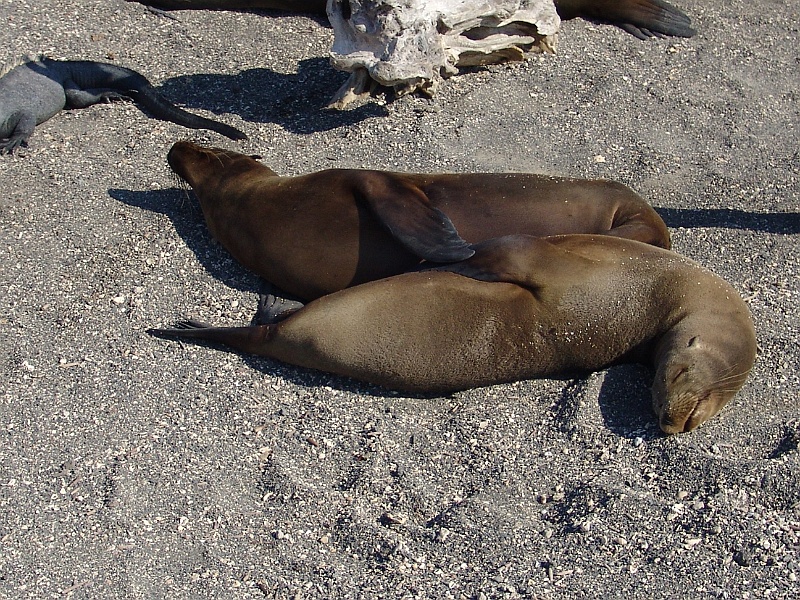 DSC03270.JPG