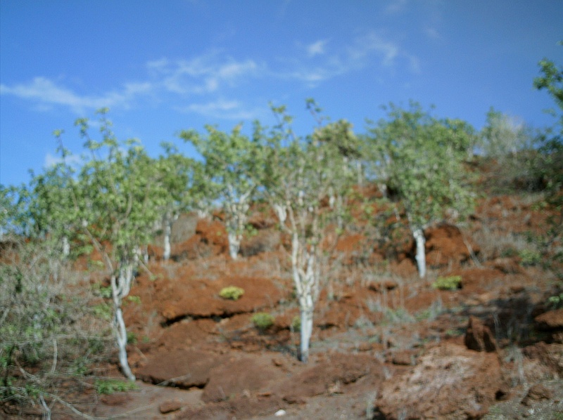 IMAG0057.JPG