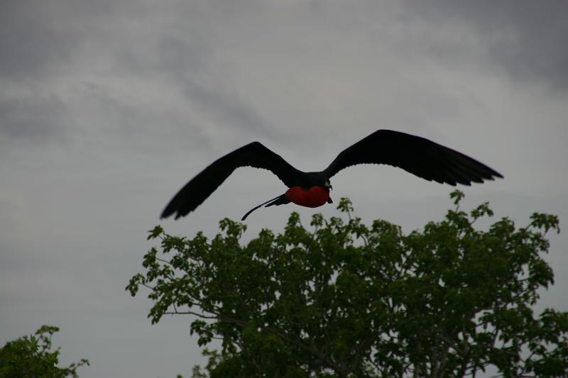 IMG_0072.JPG