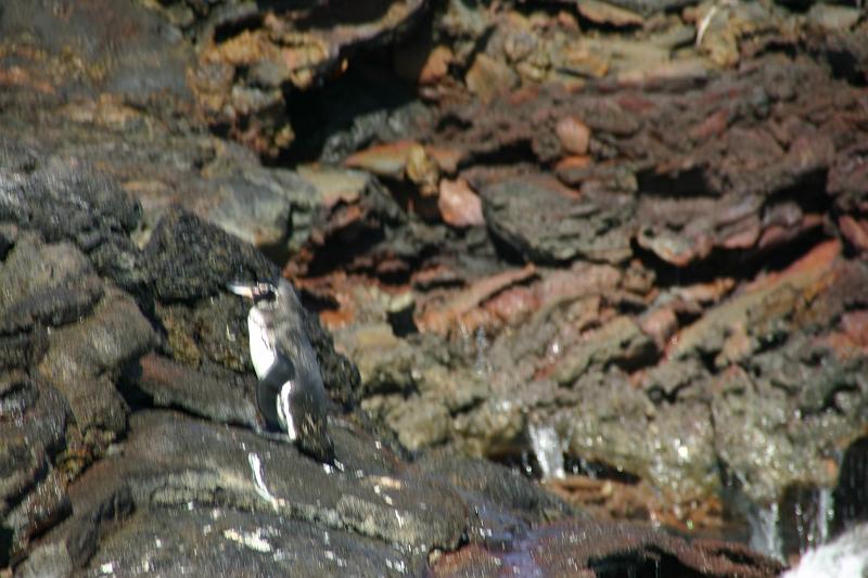 IMG_0259.JPG