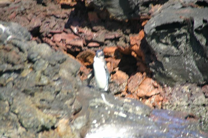 IMG_0264.JPG