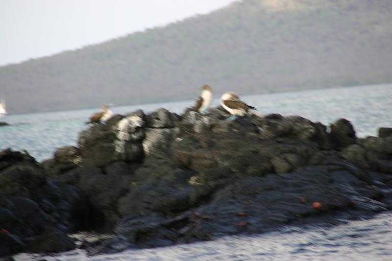 IMG_0179.JPG
