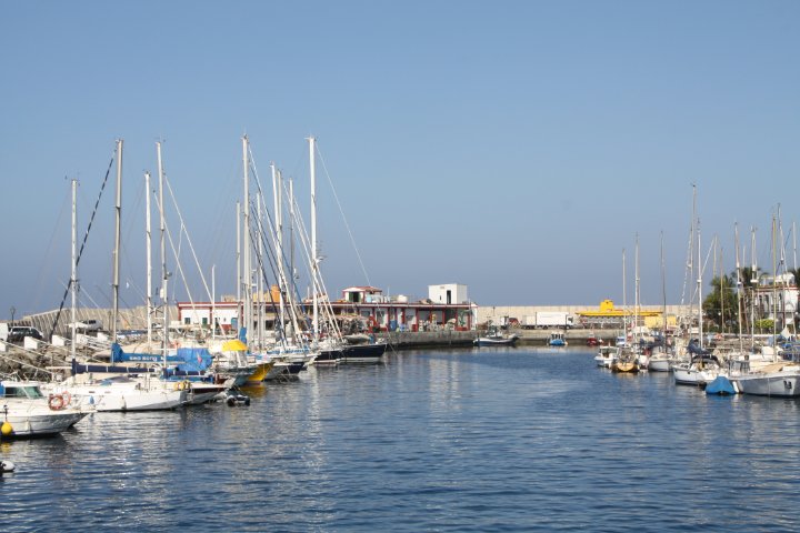 IMG_4435.JPG