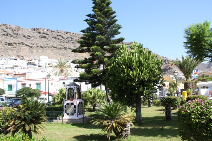 IMG_4456.JPG