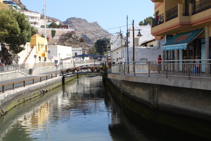IMG_4467.JPG