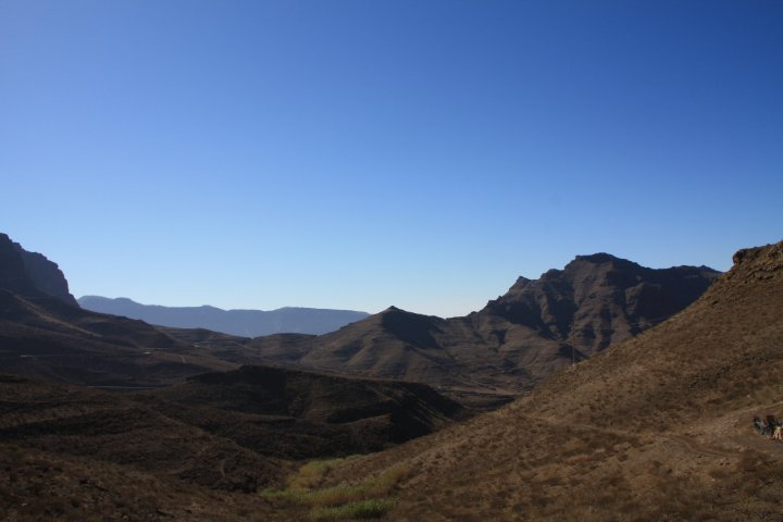 IMG_4534.JPG