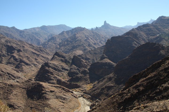 IMG_4548.JPG