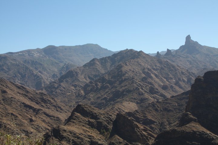 IMG_4549.JPG