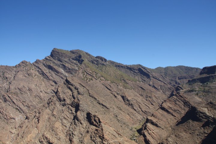 IMG_4561.JPG