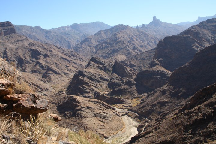 IMG_4575.JPG