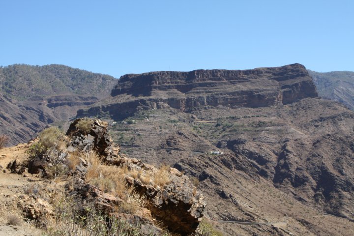 IMG_4579.JPG