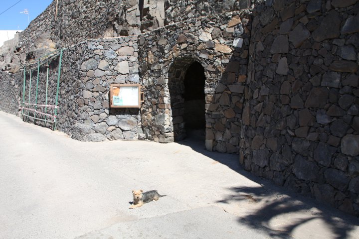 IMG_4590.JPG