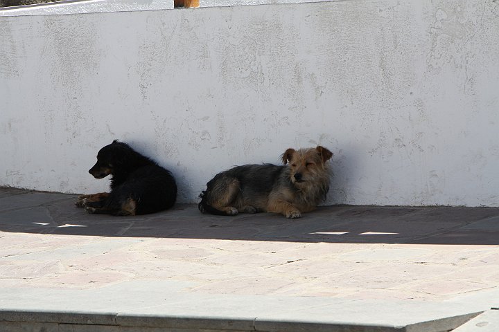 IMG_4635.JPG