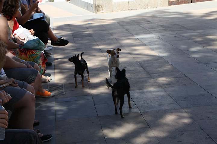 IMG_4637.JPG