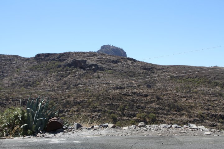 IMG_4663.JPG