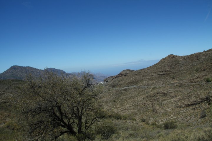 IMG_4671.JPG