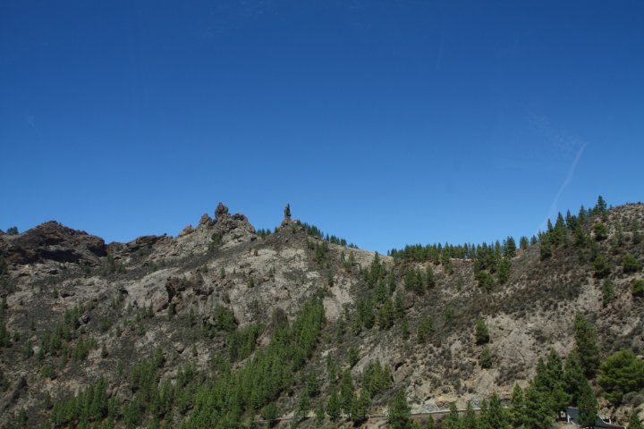 IMG_4690.JPG