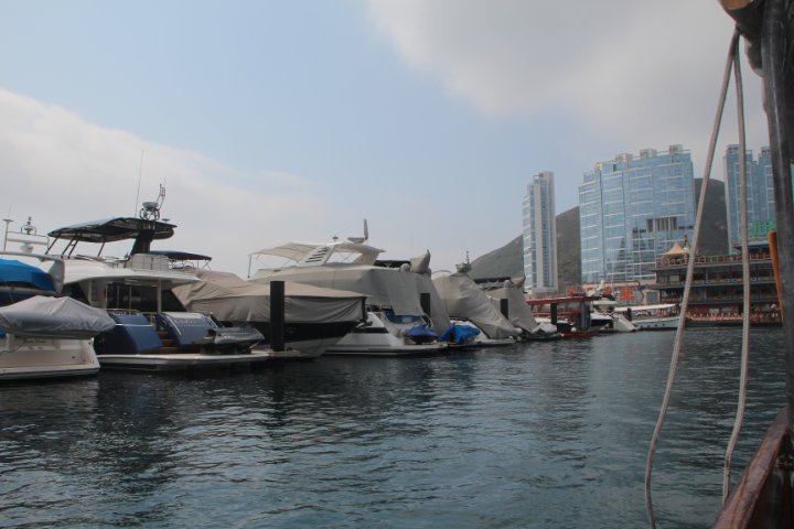 IMG_0340.JPG