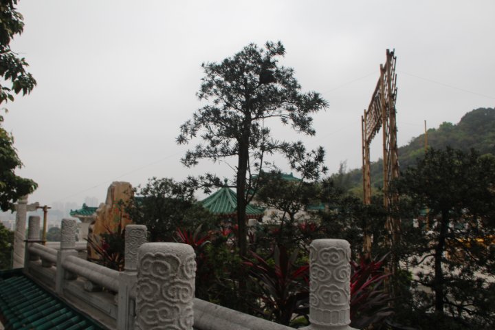 IMG_0539.JPG