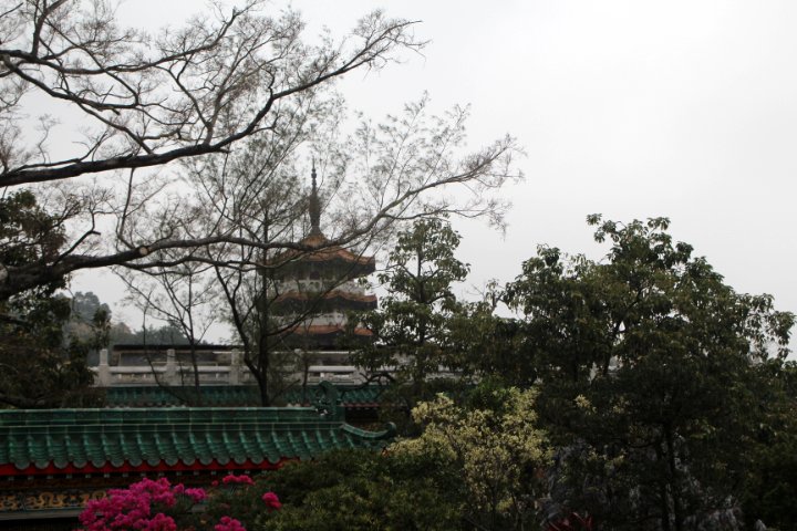 IMG_0576.JPG