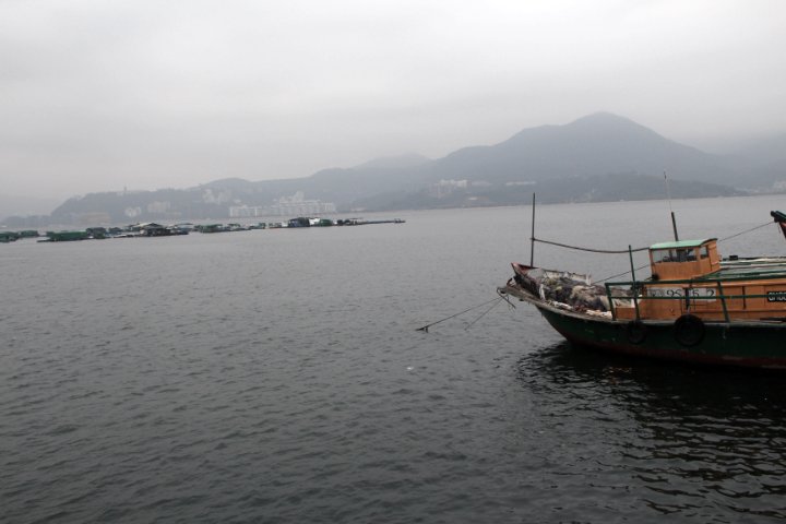 IMG_0736.JPG