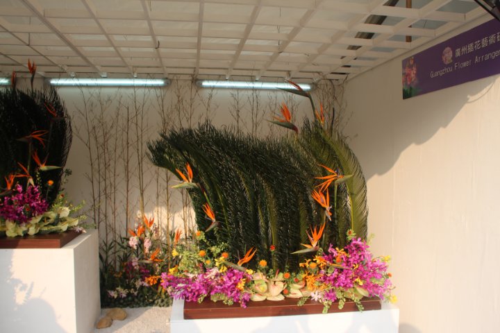 IMG_0869.JPG