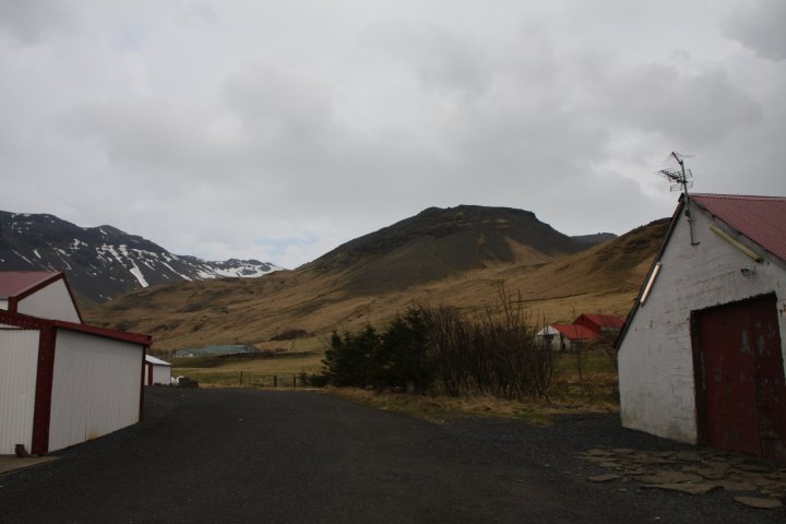 IMG_4127.JPG